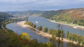 Vue automnale sur le Rhin