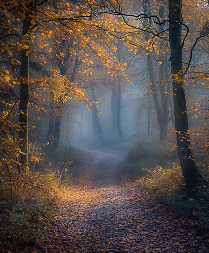 Mystical autumn forest