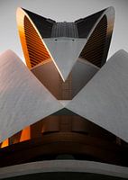 Architectuur - symmetrie - Museum in Valencia