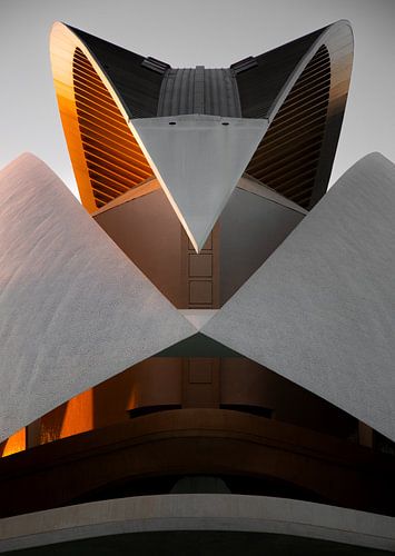 Architectuur - symmetrie - Museum in Valencia van Benjamien t'Kindt
