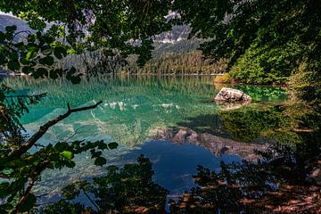 Blick durch Blätter auf einen leuchtend grünen Bergsee von Dafne Vos