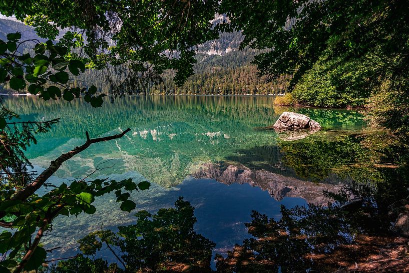 Vue à travers les feuilles sur un lac de montagne d'un vert éclatant par Dafne Vos