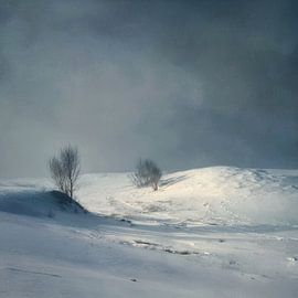 Sous un ciel hivernal menaçant sur Femea Stille Landschappen