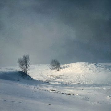 Unter einem bedrohlichen Winterhimmel von Femea Stille Landschappen