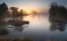 Le Pietzmoor au lever du soleil sur Steffen Henze
