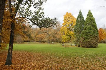 Diversité de couleurs dans le parc Luitpoldpark à Bad Kissingen sur Martin Flechsig