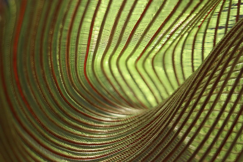 Seeing the common thread by Nanda Engel
