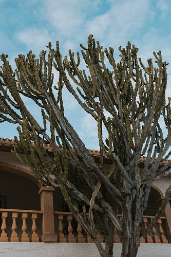 House at Cala del Portitxolin Jávea, Xàbia Spain.