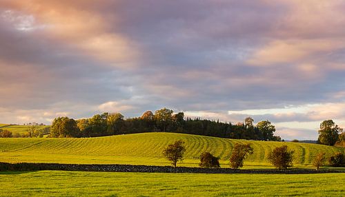 Yorskshire Dales Evening View, England