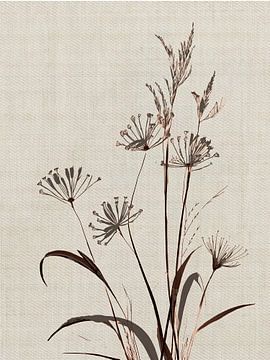 Botanical Grasses on a Natural Linen Background by Studio Pieternel