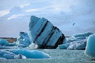 Drijvende ijsschots van Hannon Queiroz thumbnail