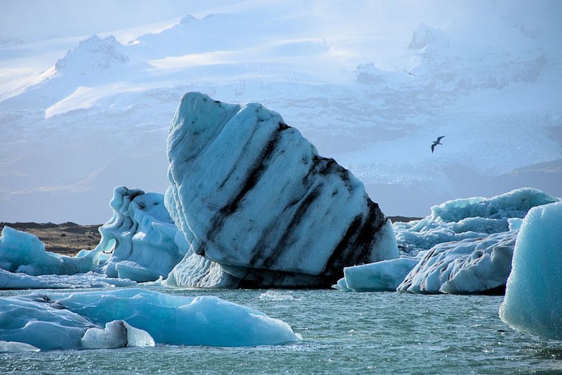 Drijvende ijsschots van Hannon Queiroz