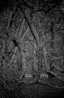 Bancs solitaires