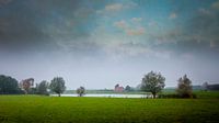 Floodplain near Olst by Freddy Hoevers thumbnail