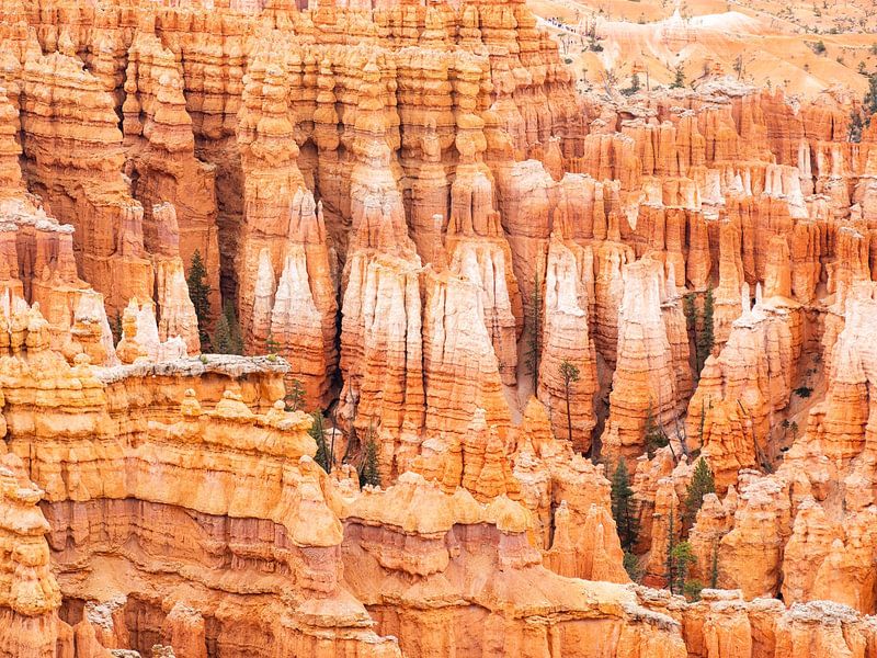 Bryce Canyon by Arnold van Wijk