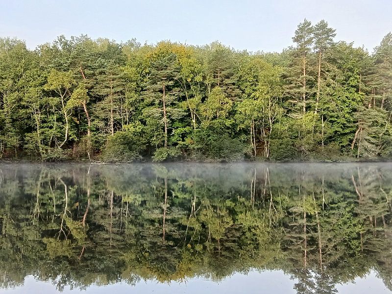 Forêt au bord d'un lac avec brume par Jacqui Huijbers-Bolt