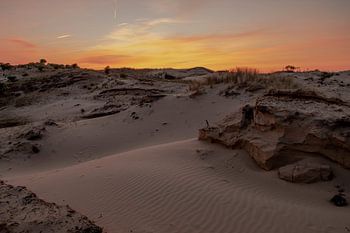 Dünen der Amsterdamer Wasserleitung