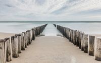 road to depth