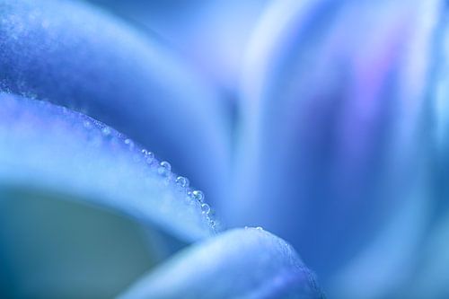 Wassertropfen in einem abstrakten Linienspiel von Marjolijn van den Berg