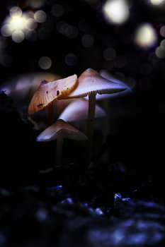 samen