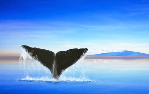 Walvisstaart op de oceaan met een eiland