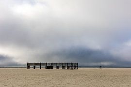 End of season by Annett Mirsberger