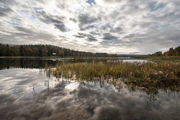 lac solitaire sur Marc Hollenberg