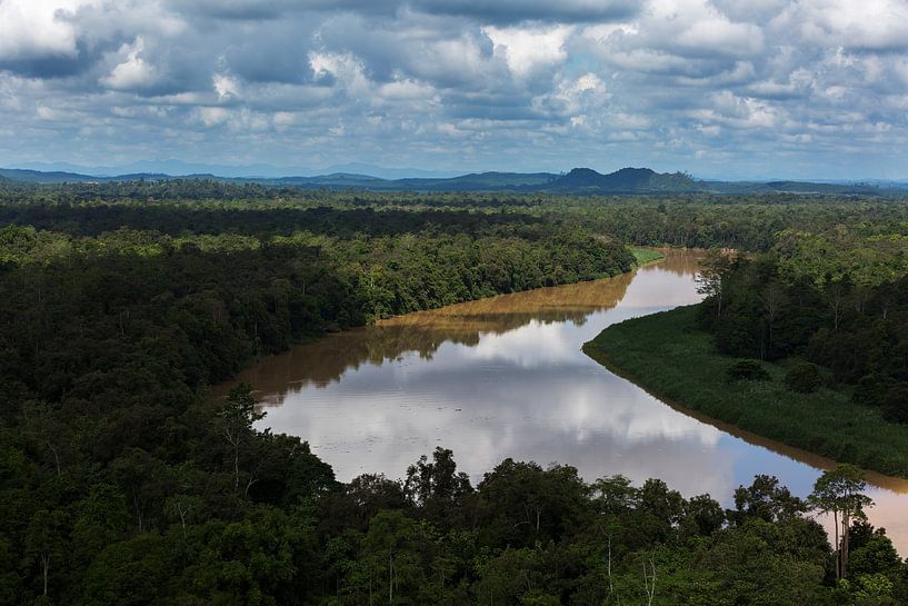 Borneo by Jan Tuns