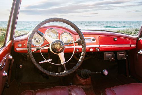 Een spider aan het strand