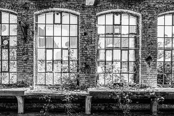 Hohe Fenster in einer verlassenen Fabrik von Elles Rijsdijk