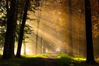 Magie in de herfst