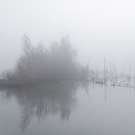 Misty Island van Edwin Benschop