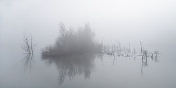 Misty Island van Edwin Benschop