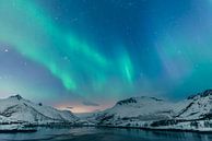 Noorderlicht boven de Lofoten tijdens de winter in Noorwegen van Sjoerd van der Wal Fotografie thumbnail