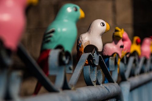 Wooden parrots on a fence