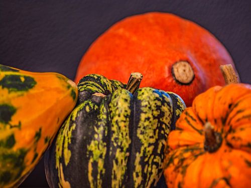 HERFSTCONCEPT: POMPOENEN IN OKTOBER