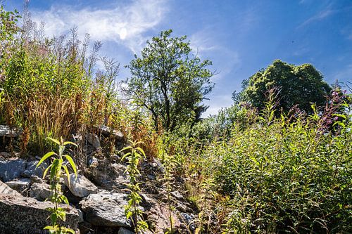 Landschap in de Ardennen 2