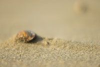Sandsturm