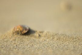 Zandstorm van Duco Luijt