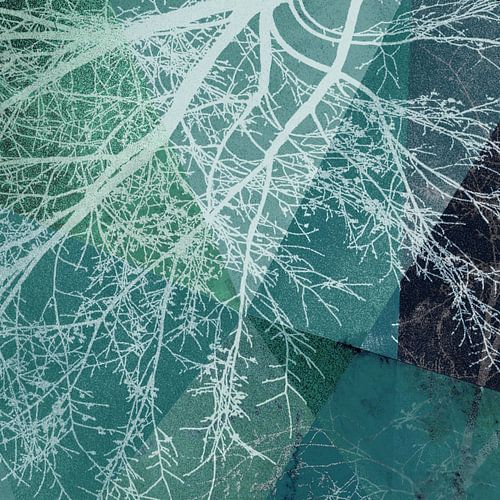 P19-E3 TREES AND TRIANGLES