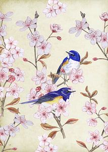 Japanischer Blaumeisenvogel auf japanischer Kirsche