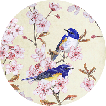 Japanse Bluebird op Japanse kers van Jasper de Ruiter