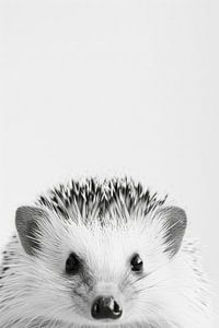 Igel