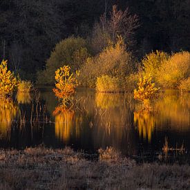 Letztes Licht von Martijn Schruijer