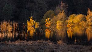 Letztes Licht