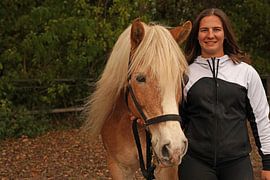 Photoshooting with light brown Haflinger with beige mane