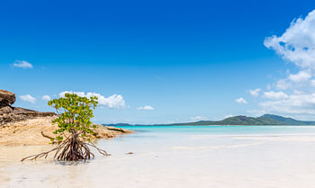 Whitehaven Strand auf den Whitsundays in Australien