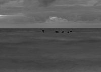 monochrome zee landschappen