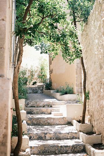 Alte Steintreppe in einer romantischen Straße in der Altstadt von Ibiza-Stadt, Eivissa
