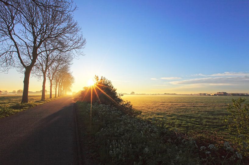 Morgenlicht von LHJB Photography